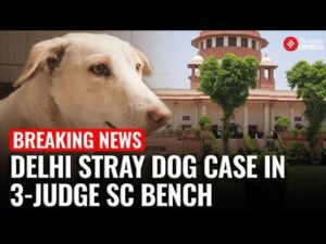 Supreme Court to hear Delhi stray dog case in 3-judge bench, image of a stray dog and SC building.