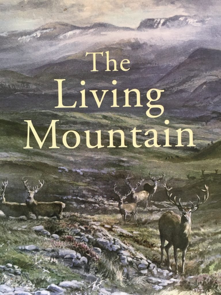 Ten Books That Have Sent Readers Out the Door — With Passport, Pack, or Both 8 IMG 7164 768x1024 1