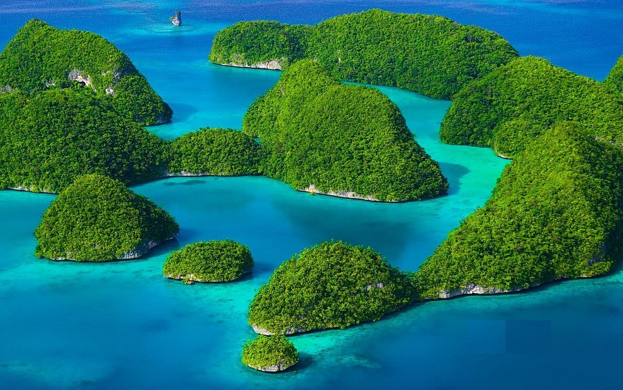 The World Still Has Places Where the Signal Disappears. Here Is Where to Find Them — and Why It Matters More Than Ever 8 palau caroline islands